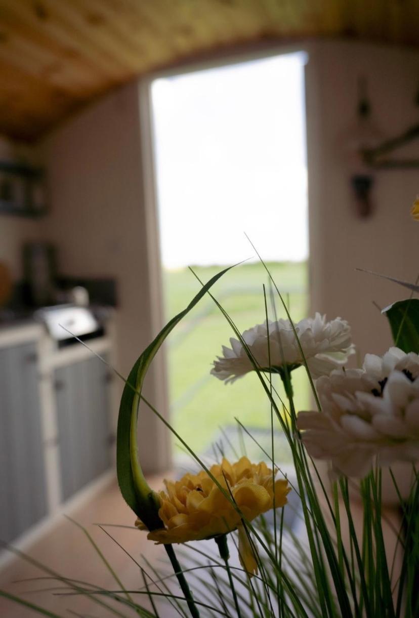 Maple Hut Four Acre Farm Hotel Aylsham Exterior photo
